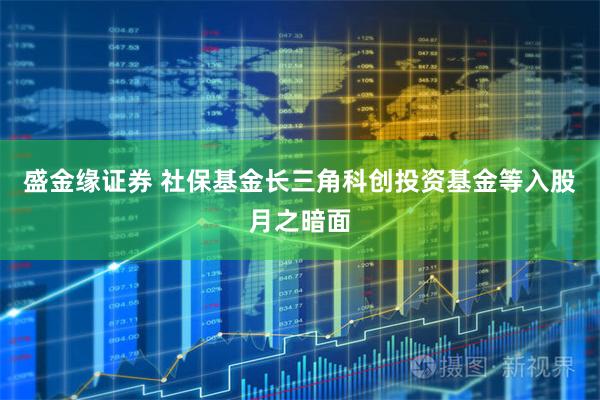 盛金缘证券 社保基金长三角科创投资基金等入股月之暗面