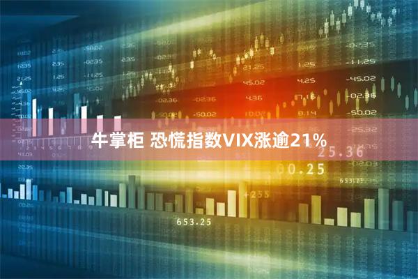牛掌柜 恐慌指数VIX涨逾21%