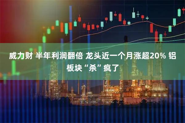 威力财 半年利润翻倍 龙头近一个月涨超20% 铝板块“杀”疯了